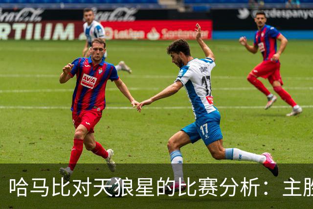 哈马比对天狼星的比赛分析：主胜与平局的博弈